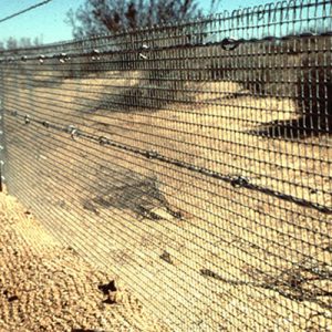 TORTOISE FENCING IMAGE