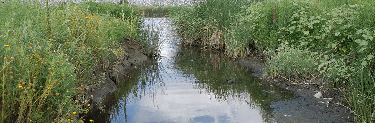 Storm Water Image